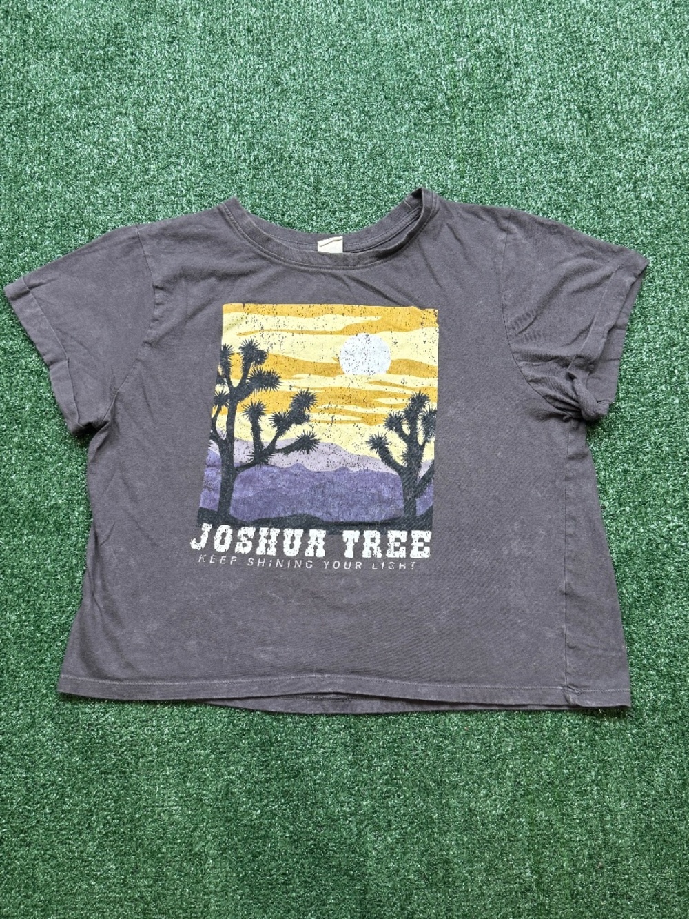 Joshua Tree Cropped T Shirt Womens Size L Gray Short Sleeve Crew Neck